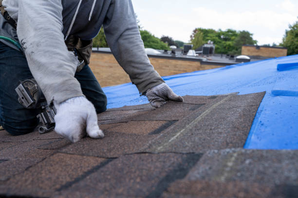 Best New Roof Installation  in Mariposa, CA