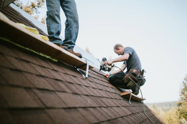 Quick and Trustworthy Emergency Roof Repair Services in Mariposa, CA